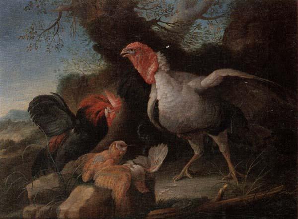 unknow artist Still life of a turkey,a bantan,a barn owl and a grey partridge in a rocky landscape oil painting image